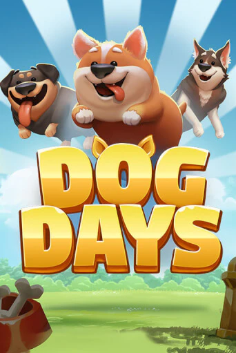 Демо версия игры Dog Days | VAVADA BY 