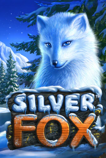 Демо версия игры Silver Fox | VAVADA BY 