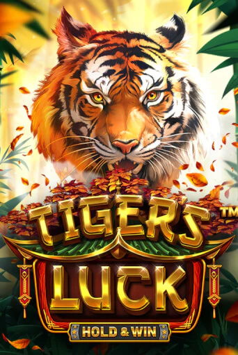 Демо версия игры Tiger's Luck - Hold & Win | VAVADA BY 