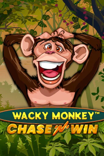 Демо версия игры Wacky Monkey - Chase'N'Win | VAVADA BY 