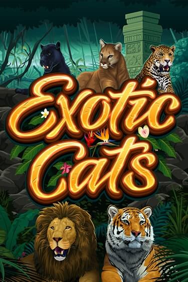 Демо версия игры Exotic Cats | VAVADA BY 