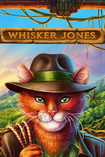 Демо версия игры Whisker Jones | VAVADA BY 