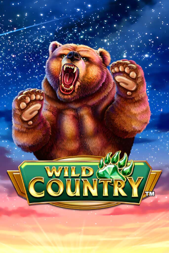 Демо версия игры Wild Country | VAVADA BY 